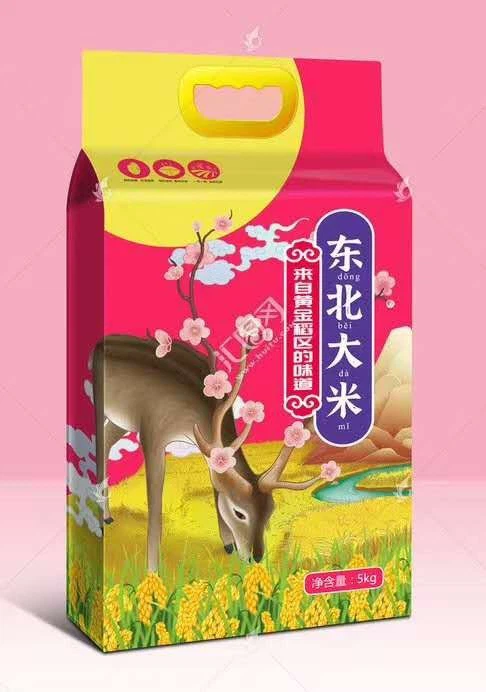 Bolck Bottom Packing Bag For Rice Flour Food